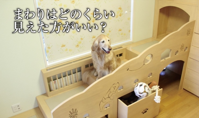 商品紹介映像